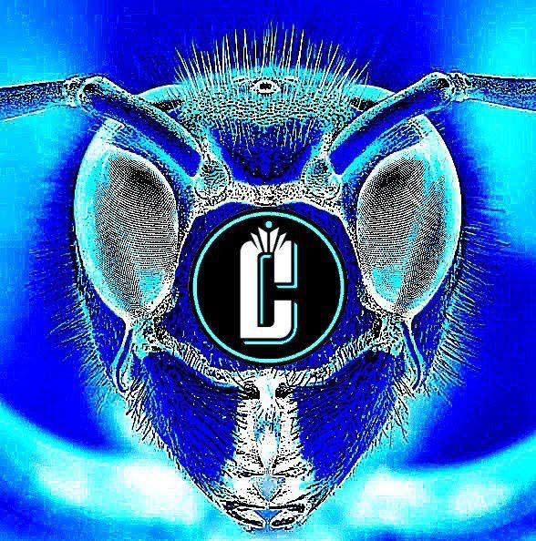 My Logo