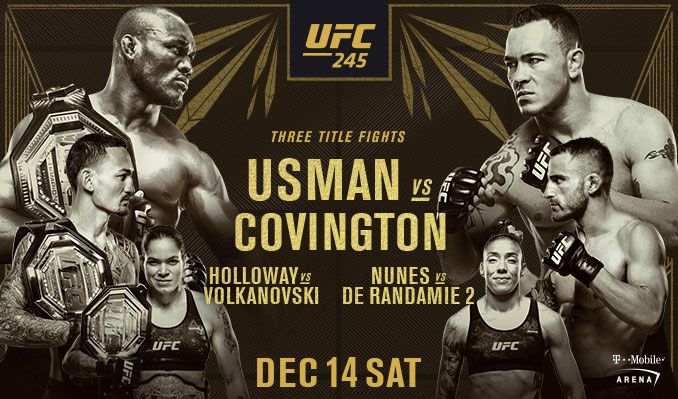 ufc-245-event-poster