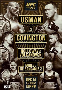 UFC_245poster