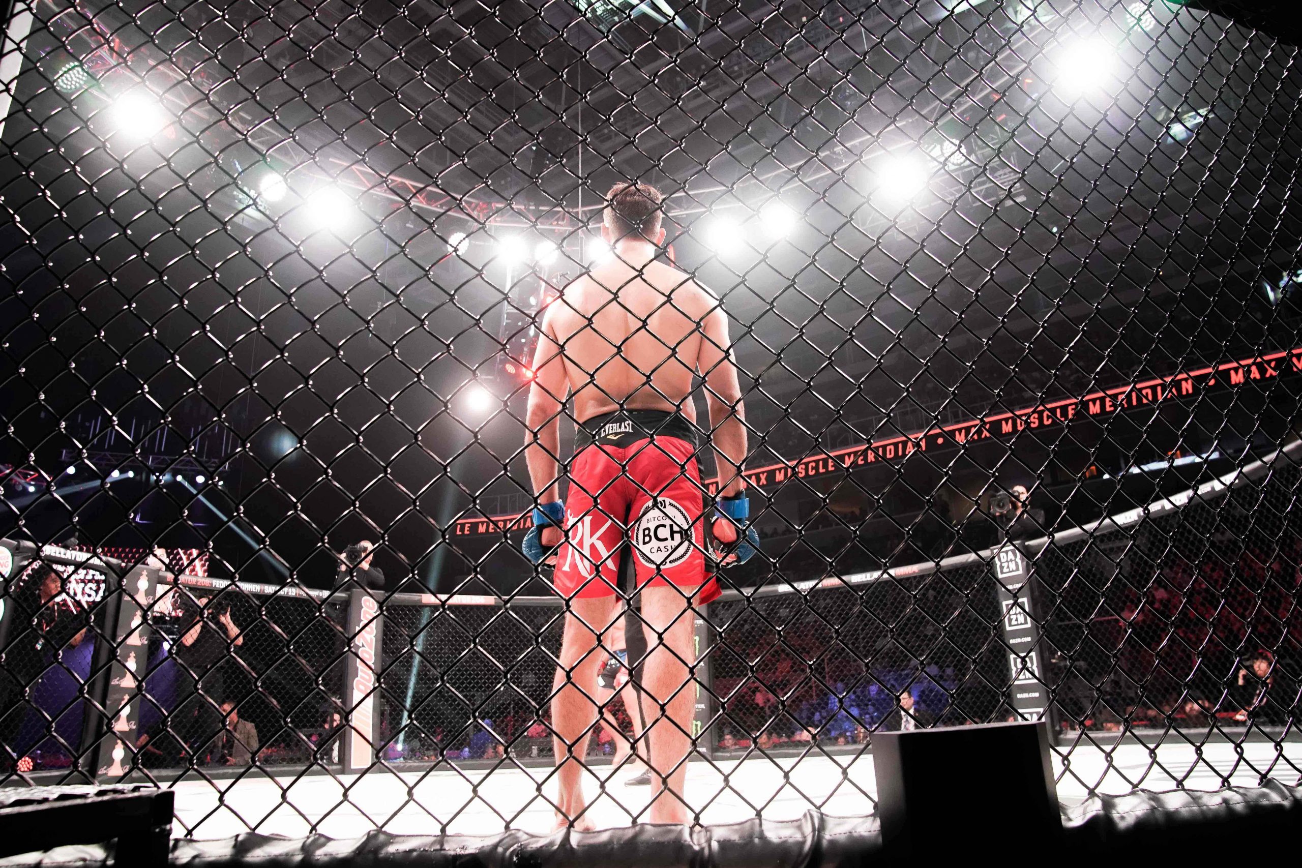 MMA: Bellator 206