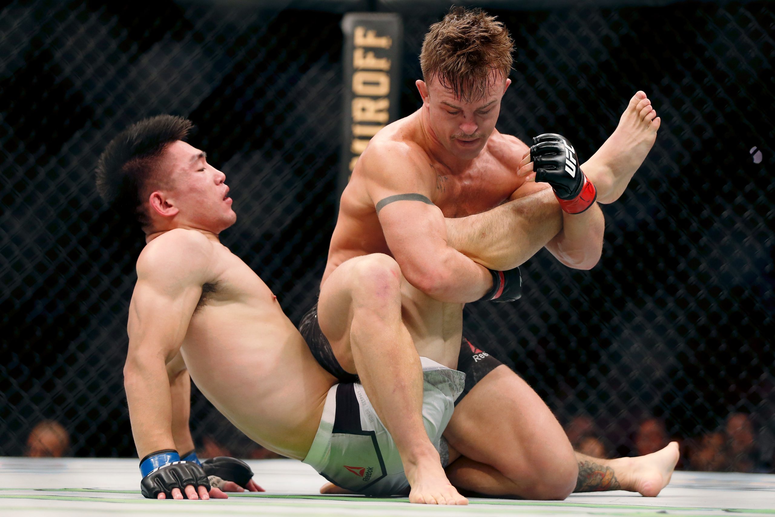Cody Stamann Career Earnings