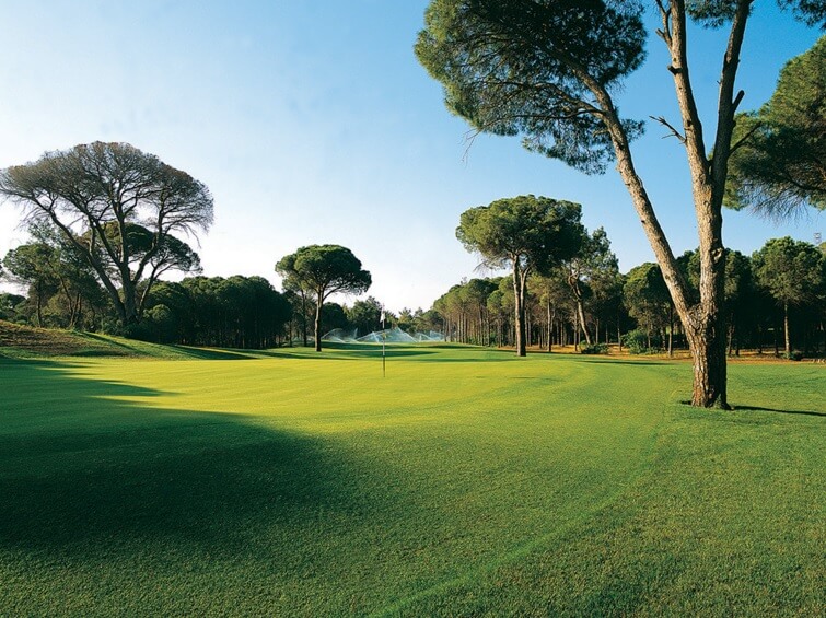 cornelia-faldo-course-1a-