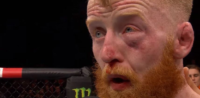 PAddy Holohan controversy