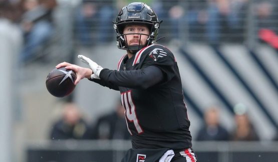 Matt McGloin made his XFL debut and led the New York Guardians to a win over the Tampa Bay Vipers on Sunday.
