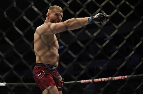 jan blachowicz