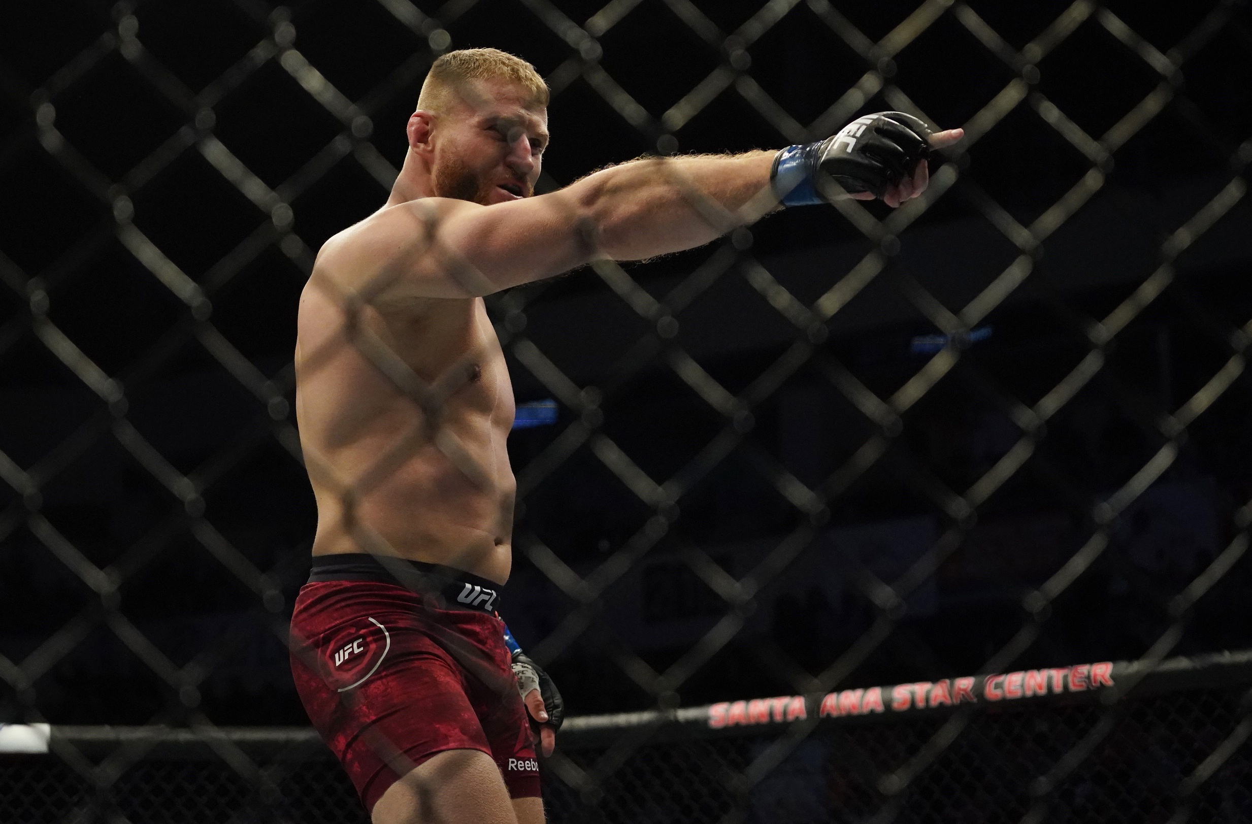 jan blachowicz