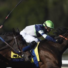 Horse Racing: 36th Breeders Cup World Championship