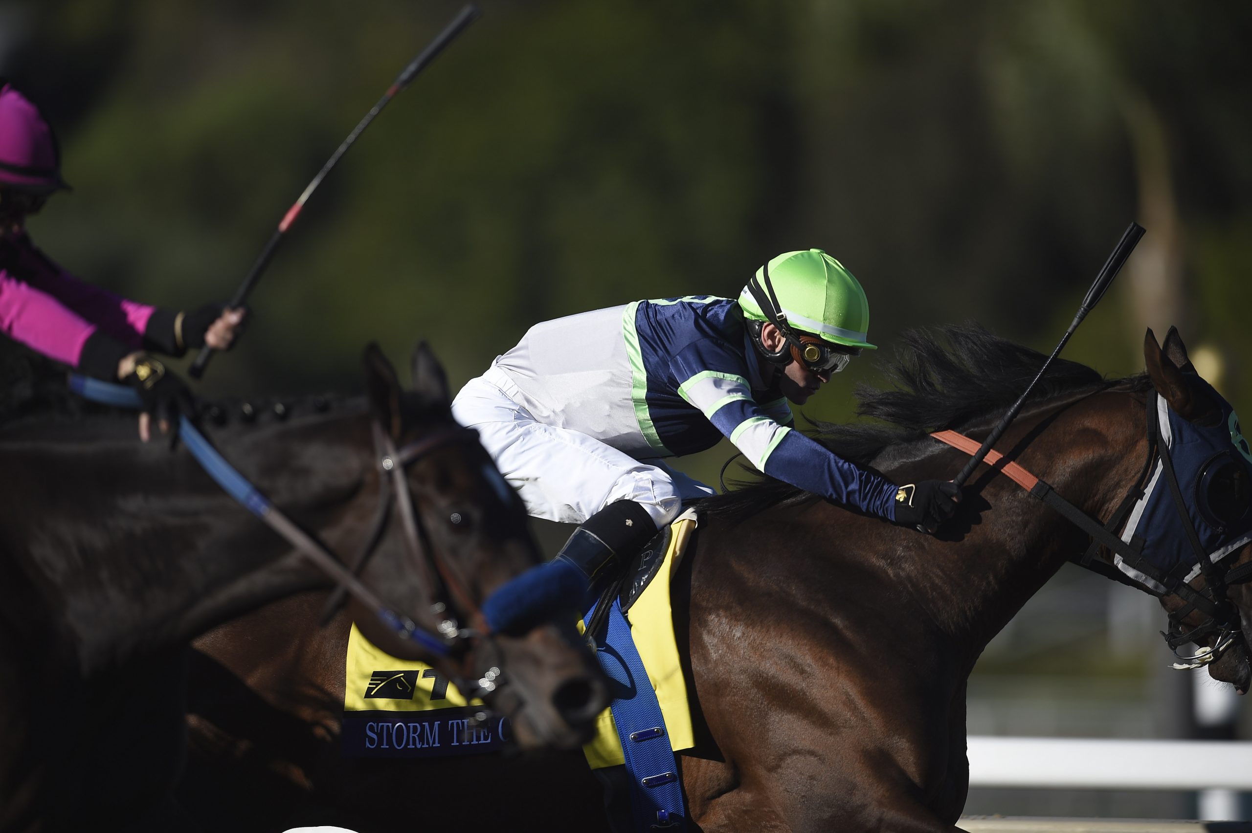 Horse Racing: 36th Breeders Cup World Championship