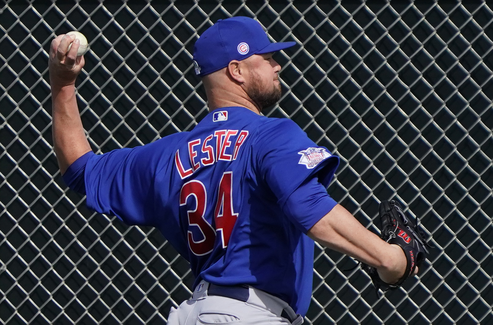 MLB: Chicago Cubs-Workouts