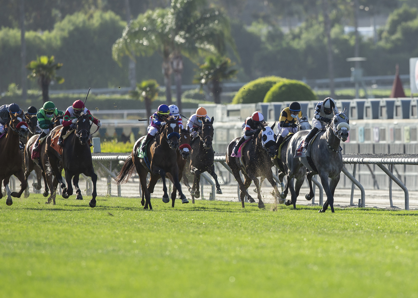 Horse Racing: Santa Anita