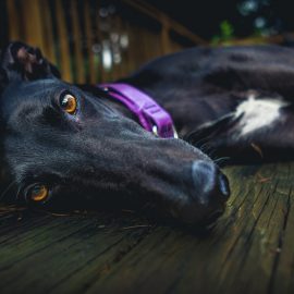 derek-story-75ona6X6_PI-unsplash