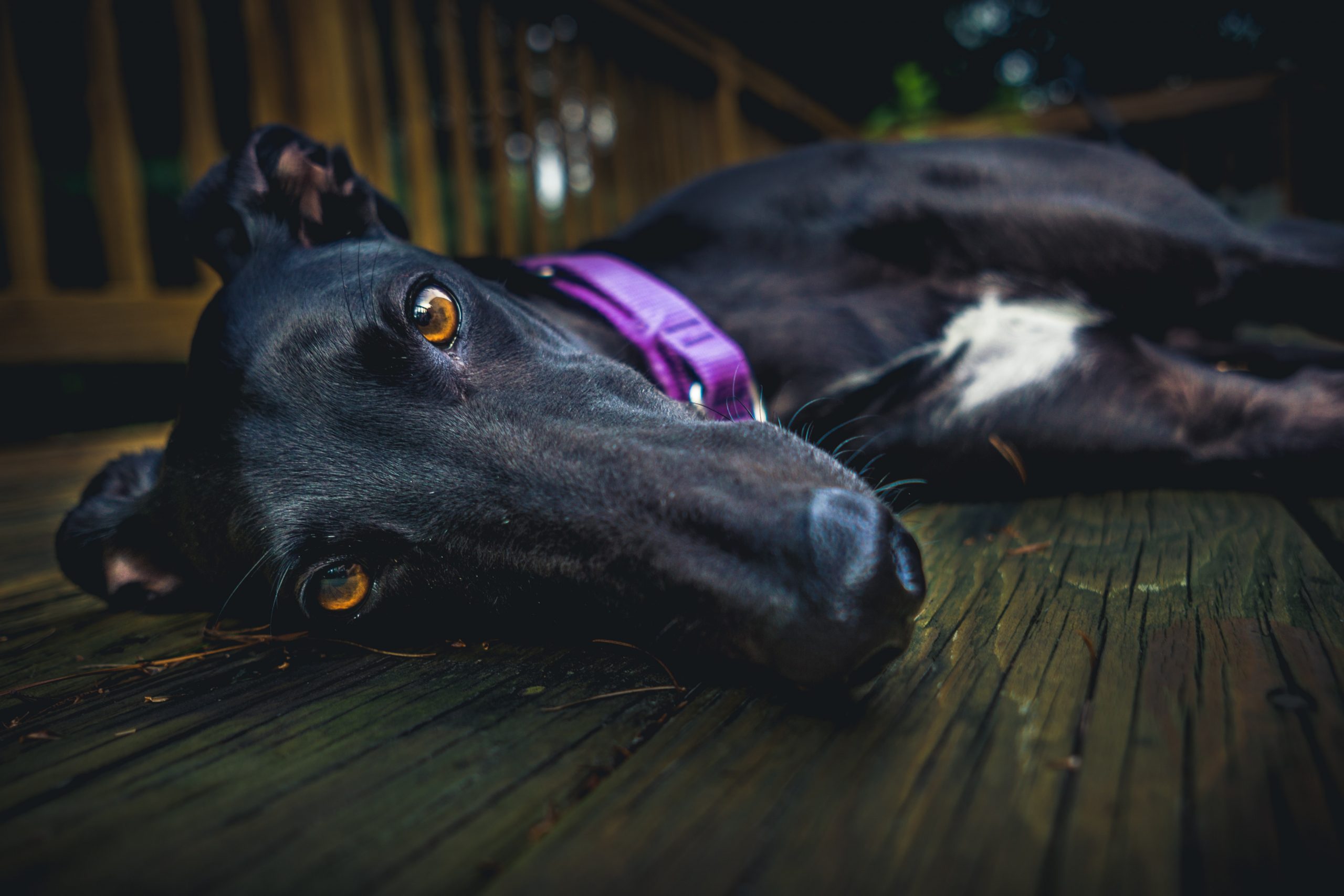 derek-story-75ona6X6_PI-unsplash