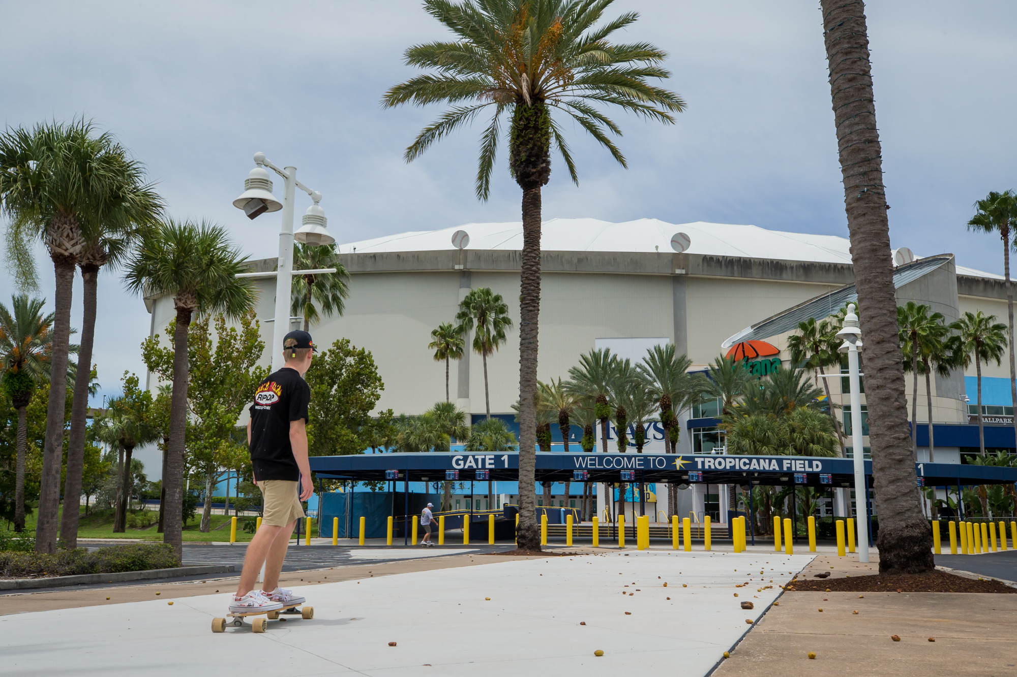 MLB: Toronto Blue Jays at Tampa Bay Rays