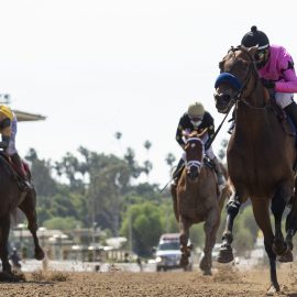 Horse Racing: Santa Anita