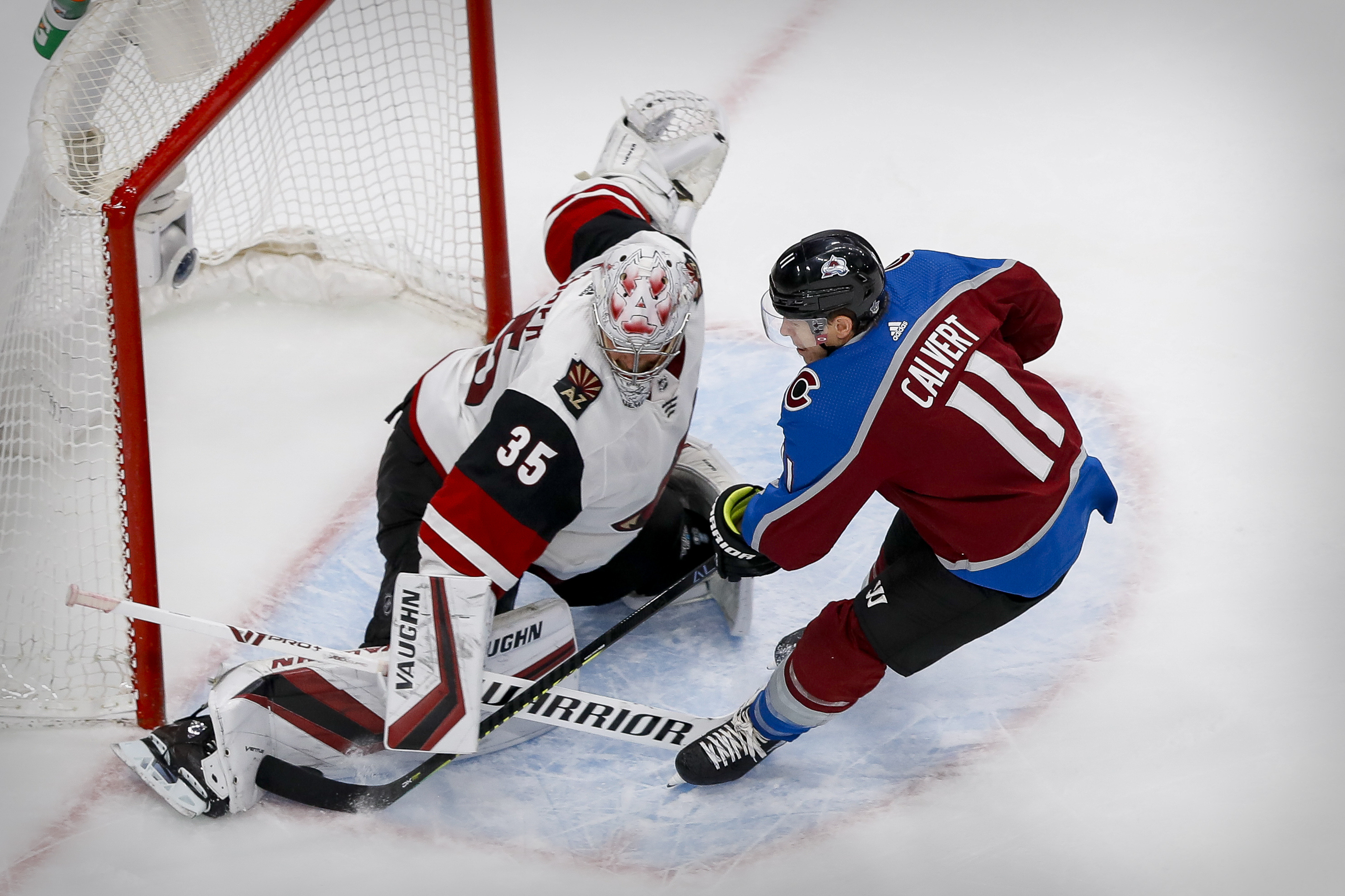 Minnesota Wild Trade Ryan Donato, Devan Dubnyk to San Jose