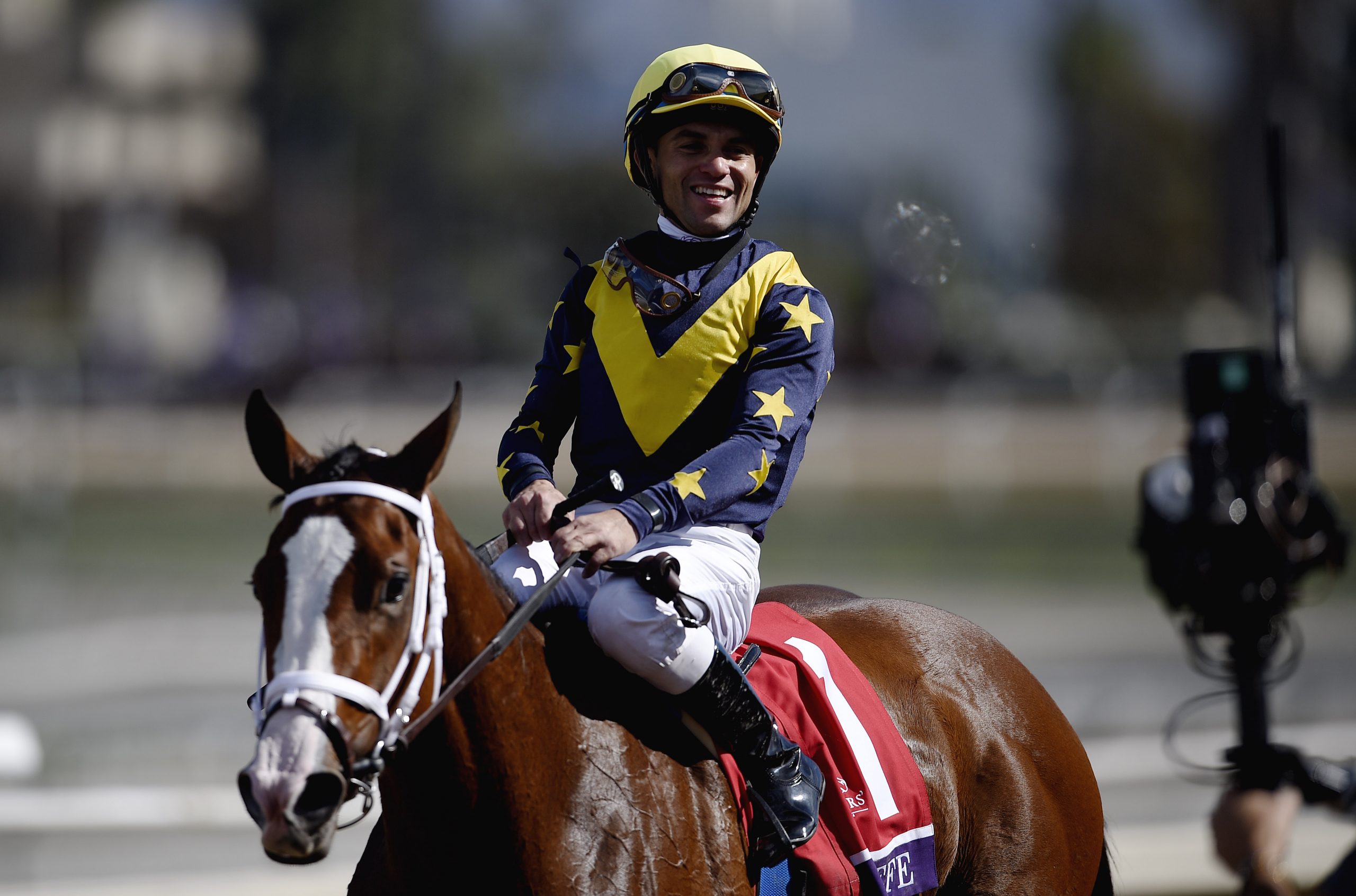 Horse Racing: 36th Breeders Cup World Championship