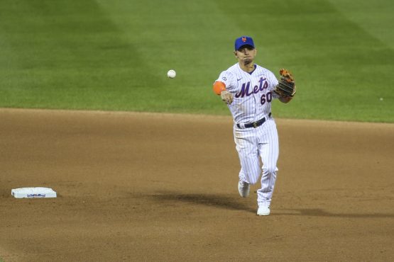 MLB: Atlanta Braves at New York Mets