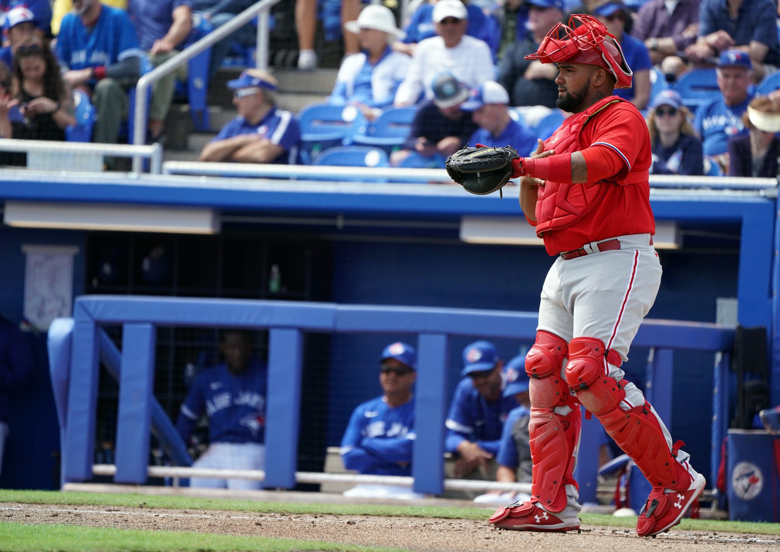 MLB: Spring Training-Philadelphia Phillies at Toronto Blue Jays