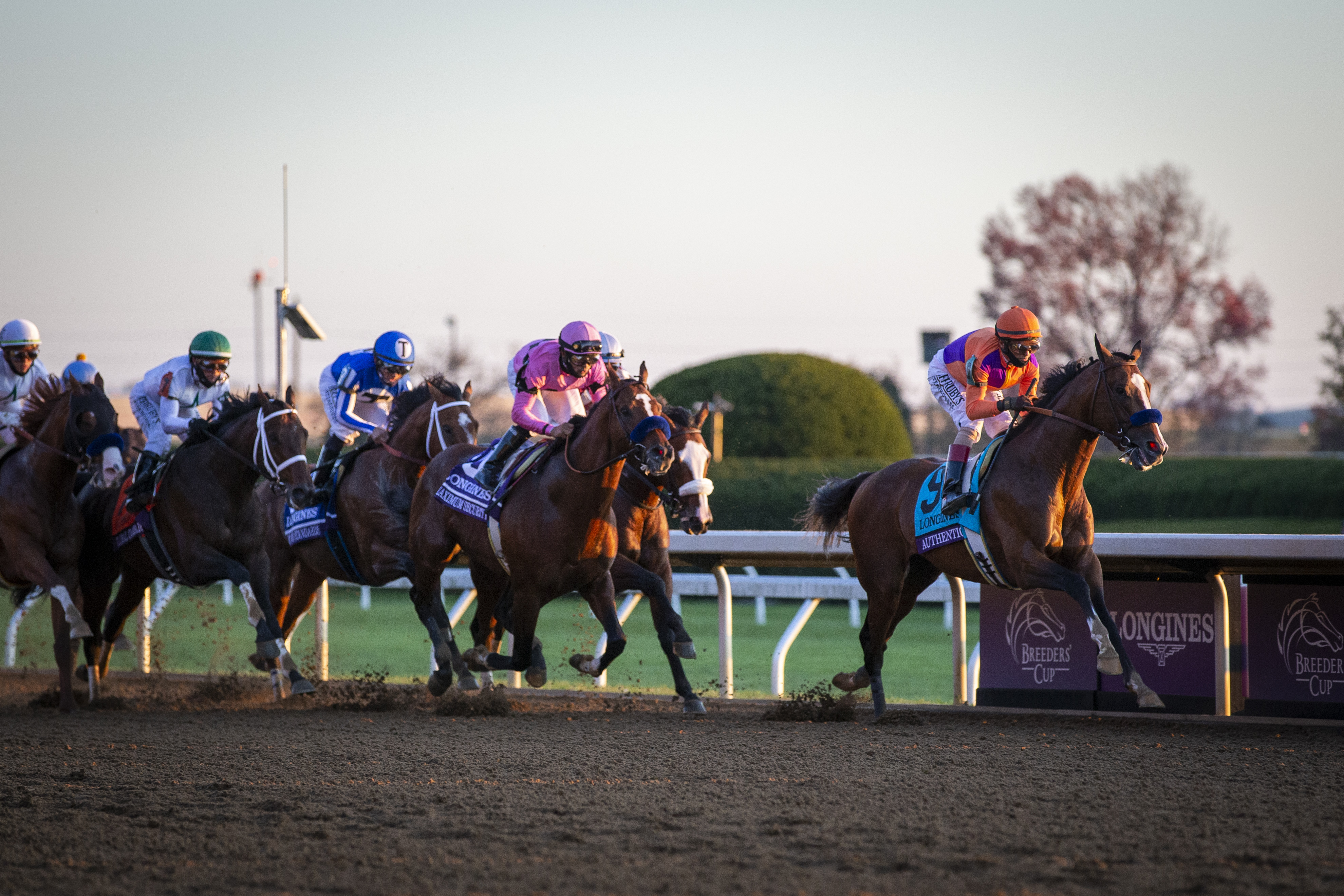 9 Things to Learn About the 2021 Pegasus World Cup Invitational