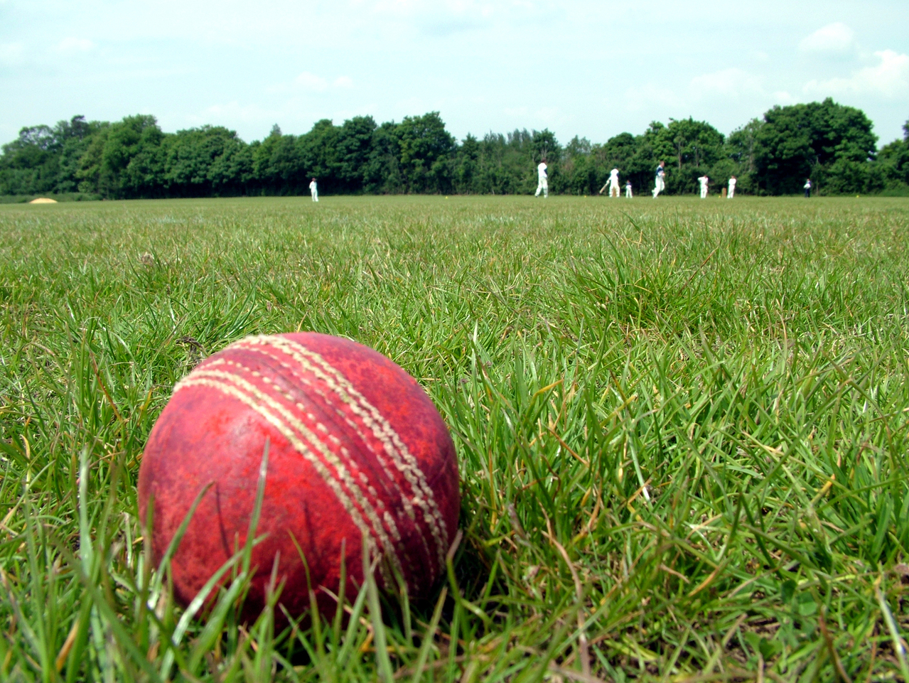 cricket-1164891-1279x960