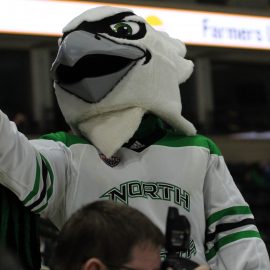 Fighing Hawk