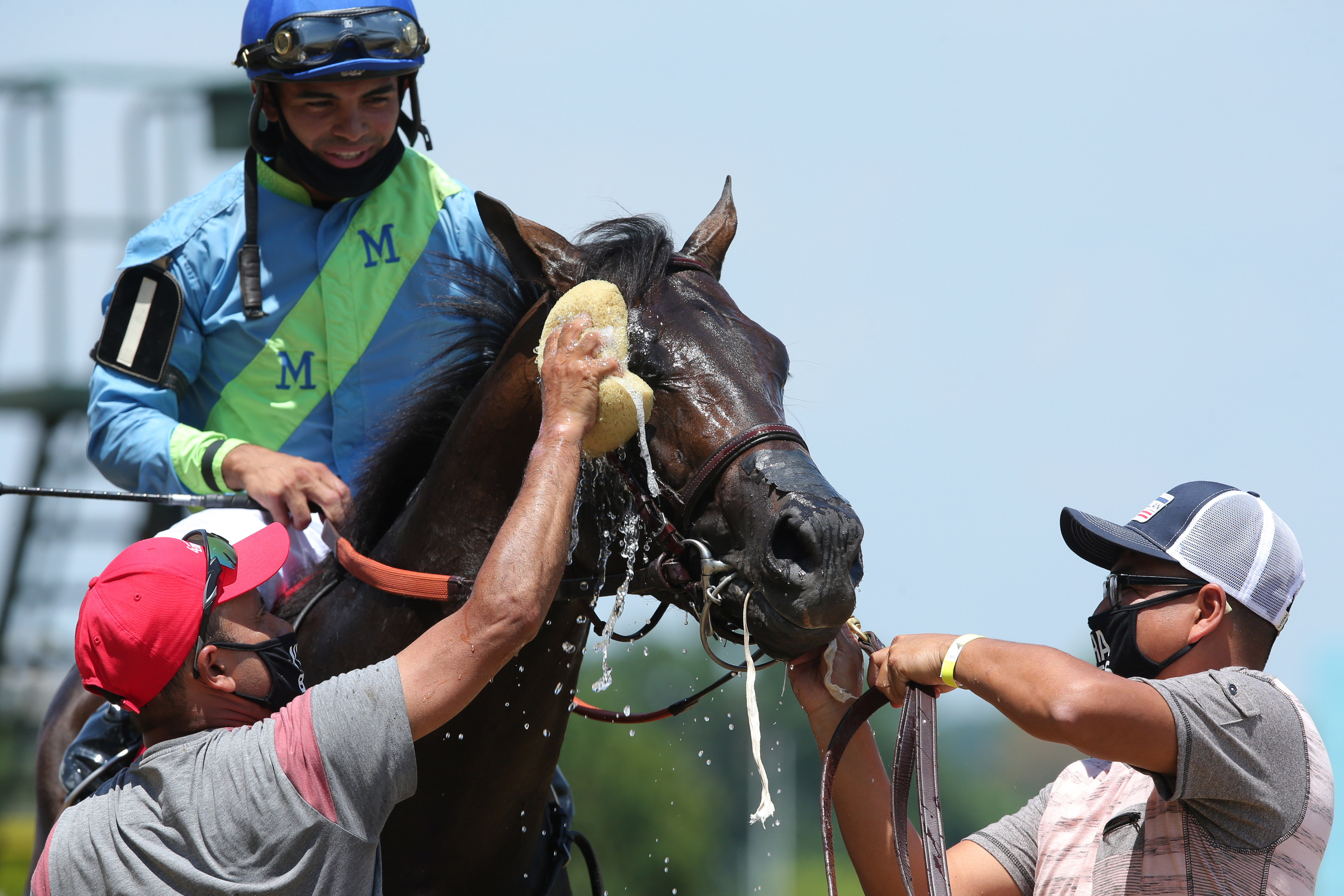 The Popularity of Horse Racing