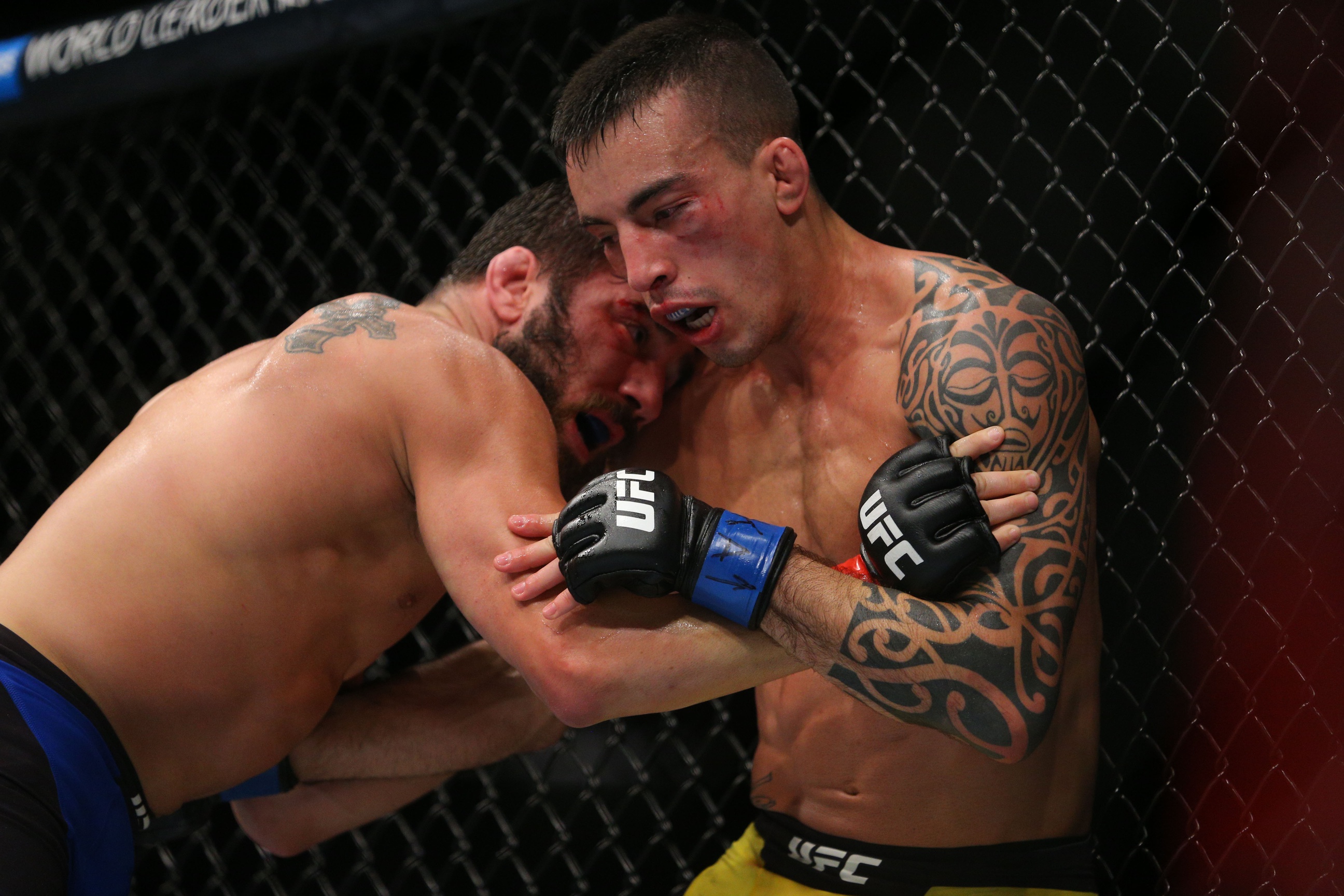 Thomas Almeida Career Earnings
