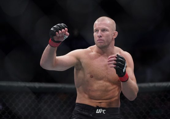 misha cirkunov career earnings