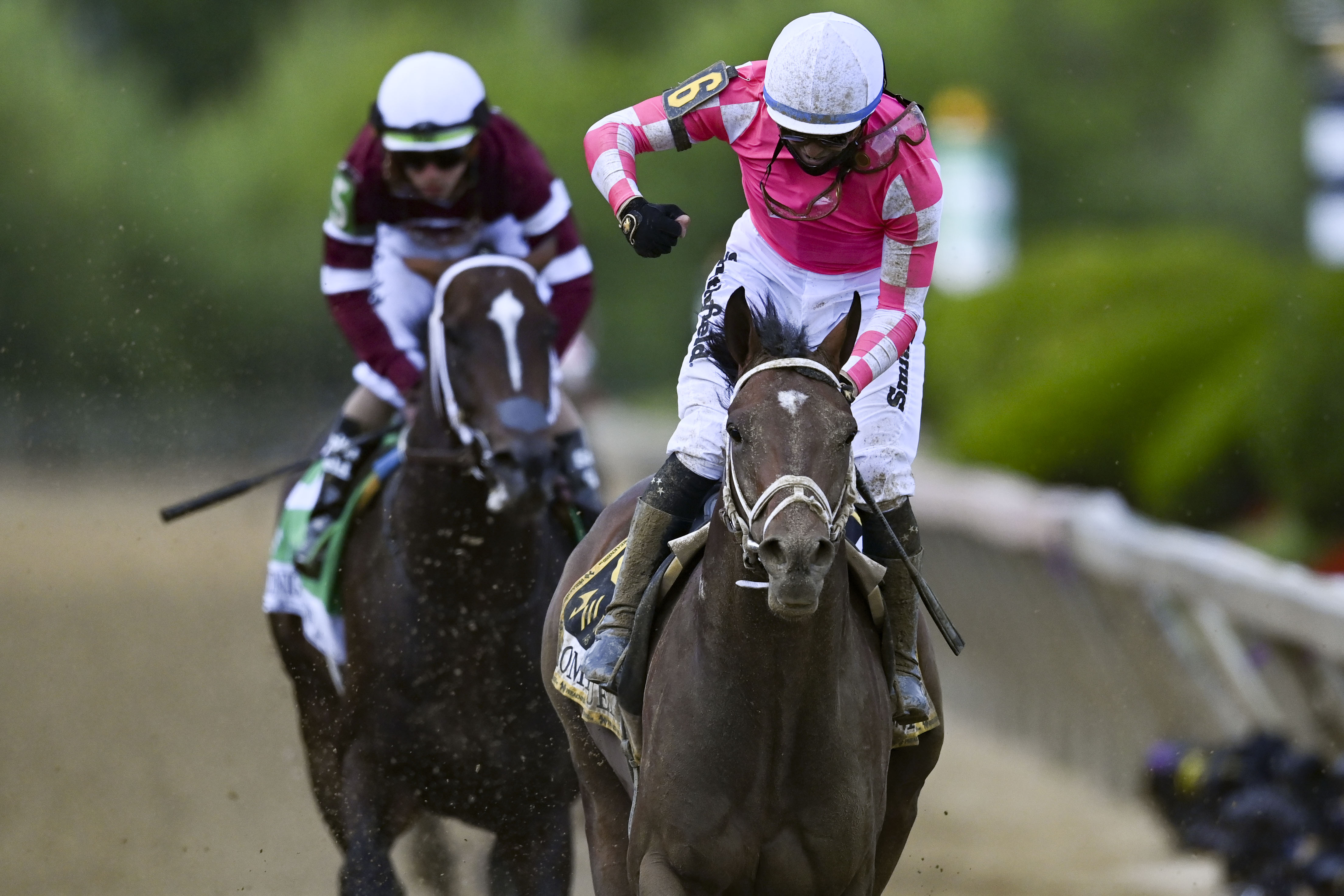 Important Horse Racing Terms that Every Beginner Should Know!