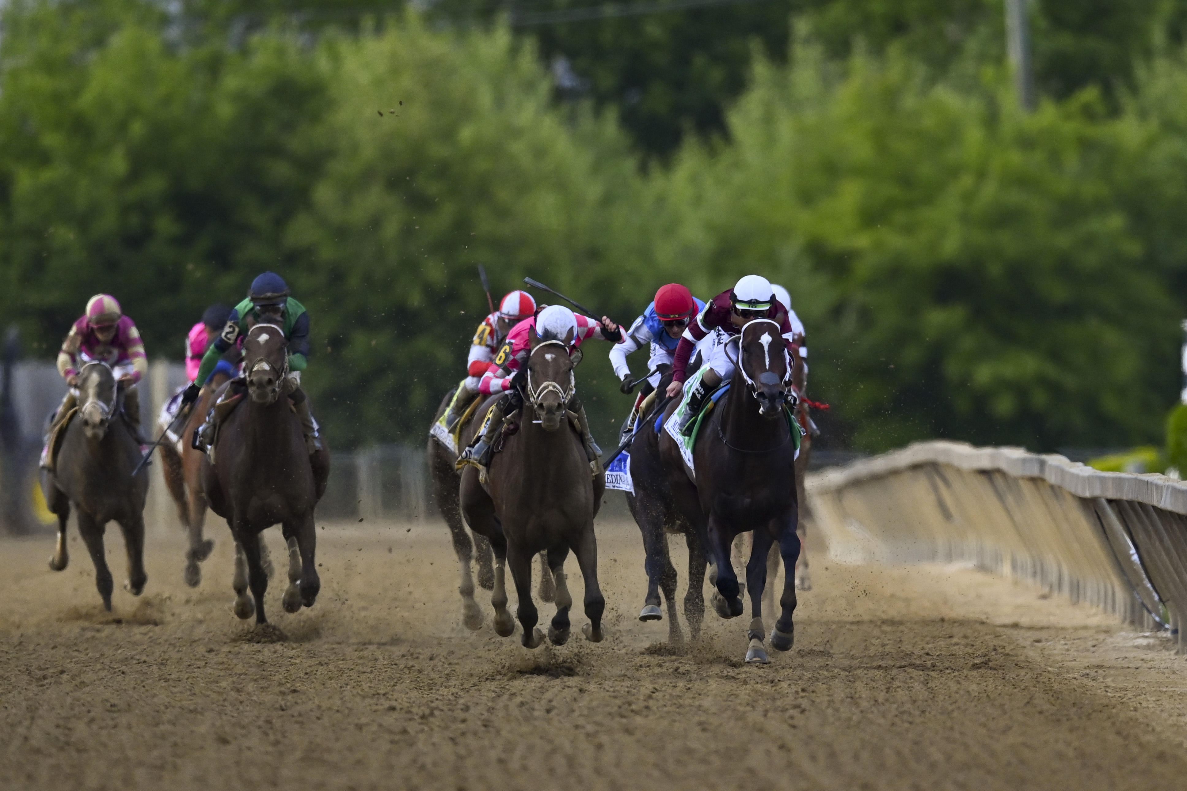 Important Horse Racing Terms that Every Beginner Should Know!