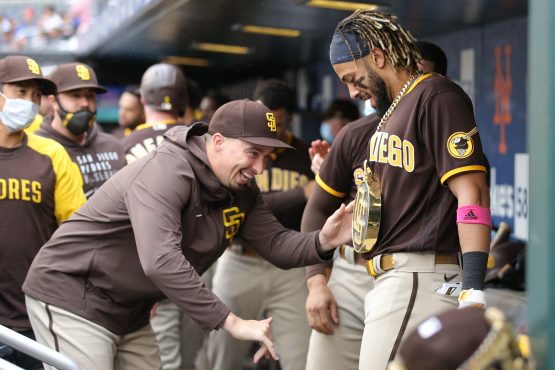 MLB: San Diego Padres at New York Mets