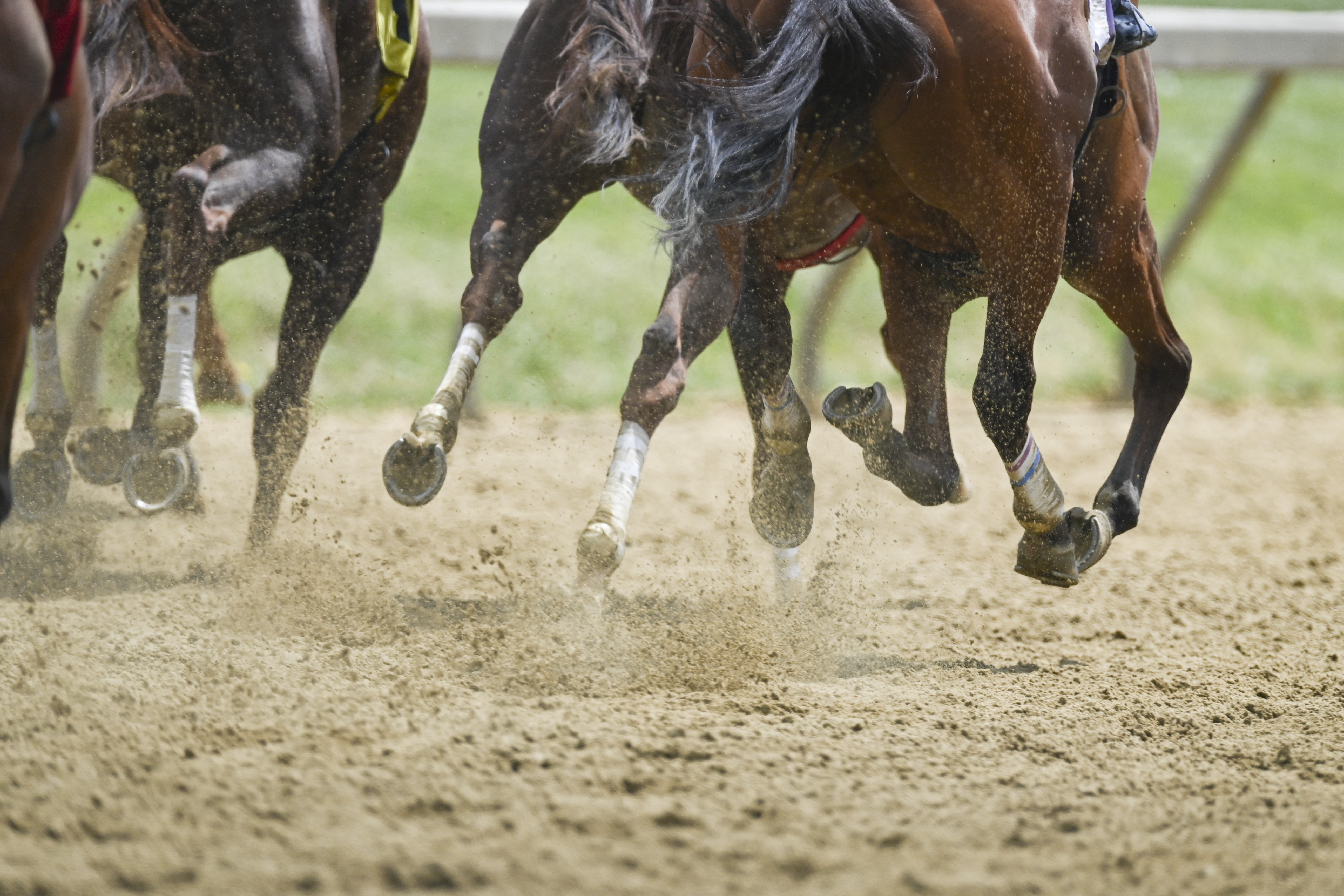 The Challenge of Re-Launching Horse Racing in Canada