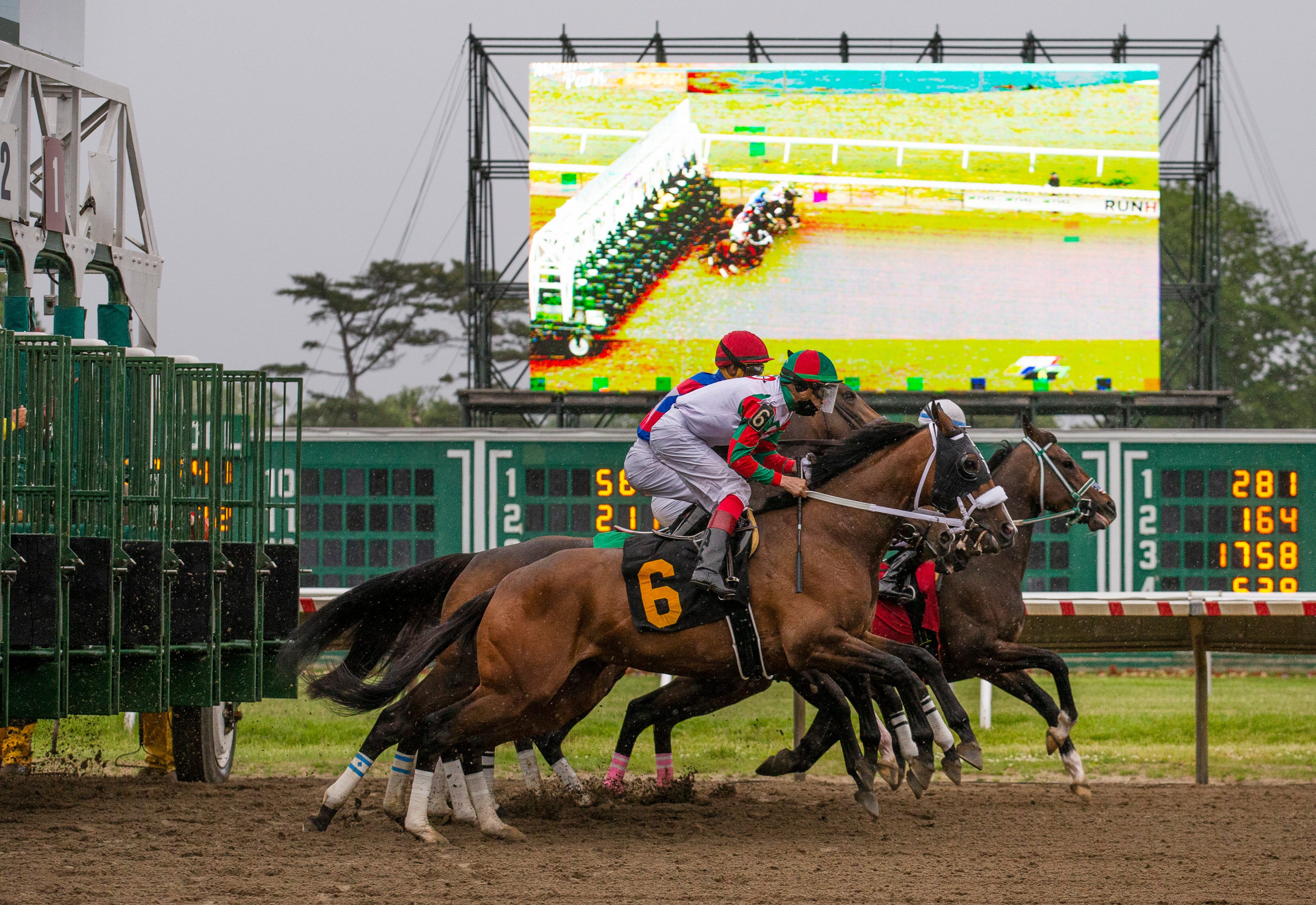 5 Reasons Why You Should Start Watching Horse Racing