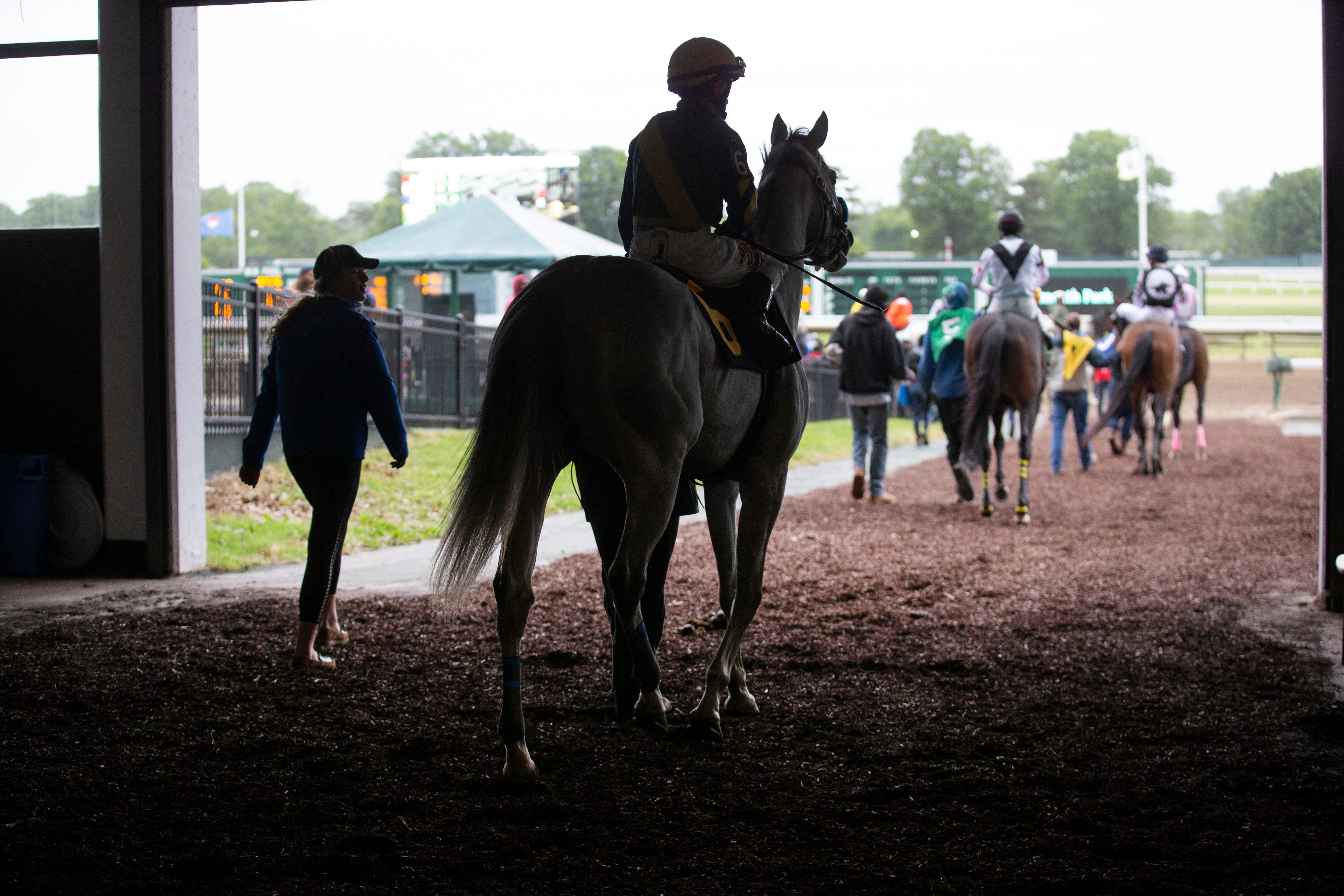 5 Reasons Why You Should Start Watching Horse Racing