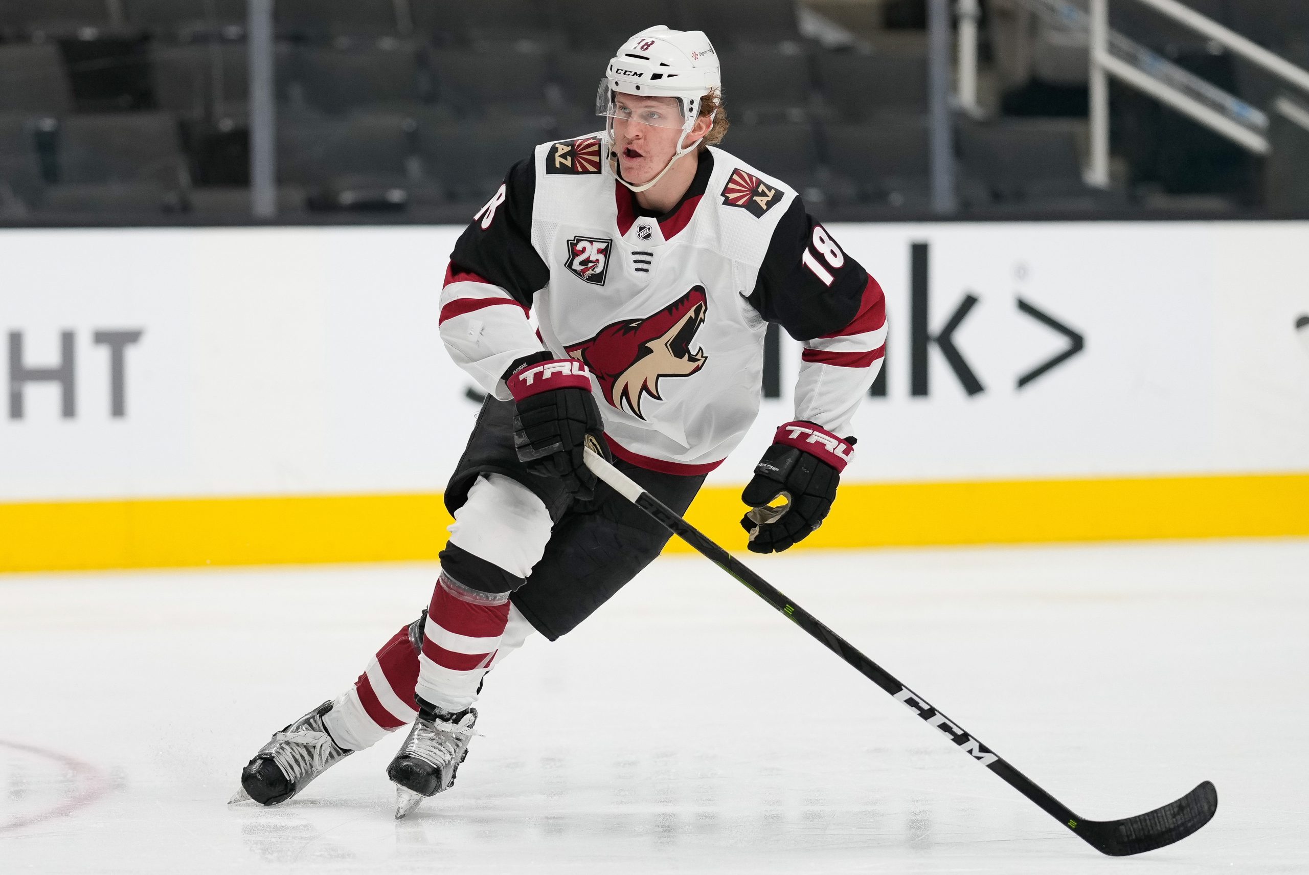 NHL: Arizona Coyotes at San Jose Sharks