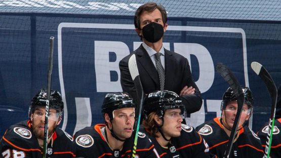 ducks bench