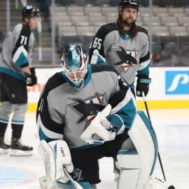 sharks