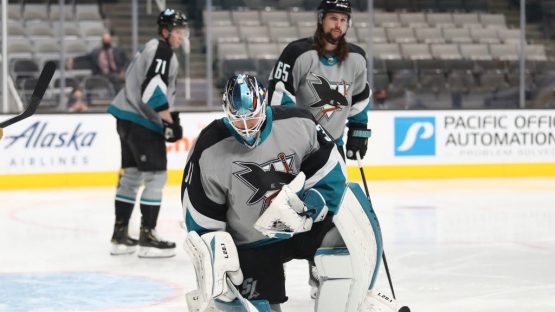 sharks