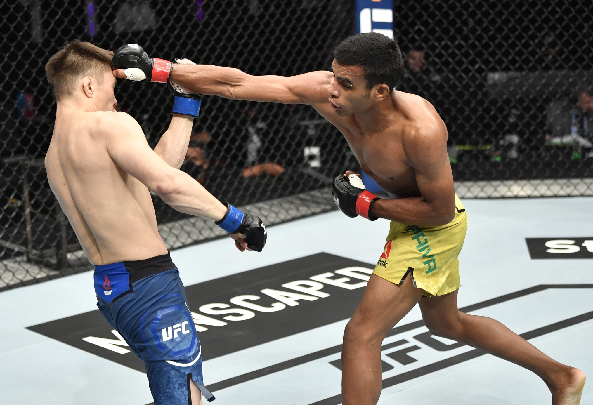 The Livest Dog at UFC 269: Raulian Paiva
