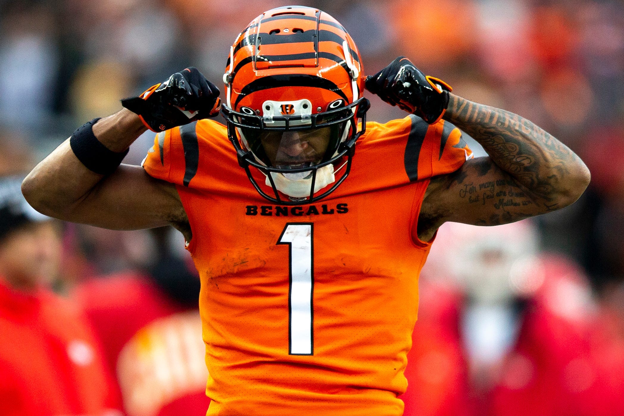 bengals