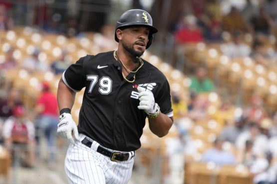 MLB: Spring Training-Los Angeles Angels at Chicago White Sox