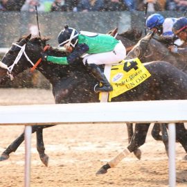 preakness stakes - un ojo