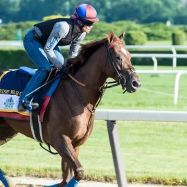 Belmont Stakes