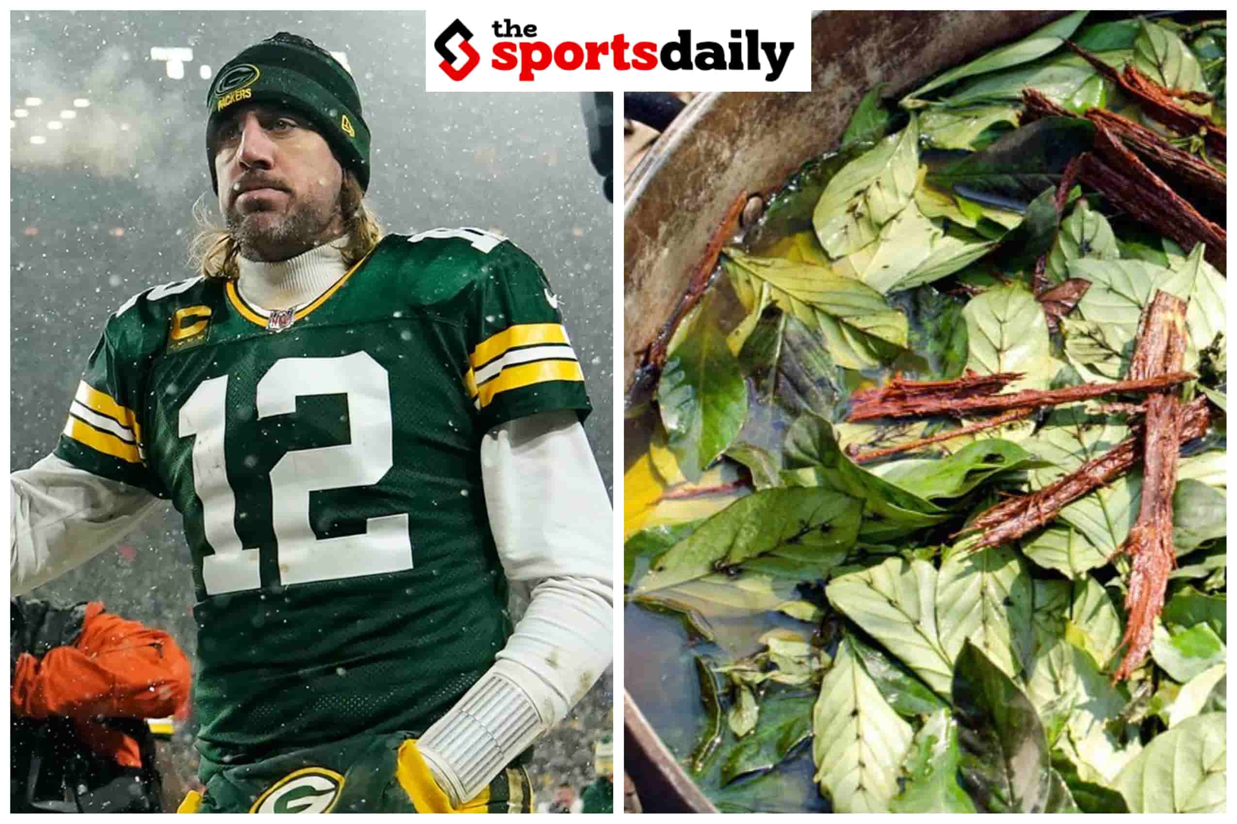 Rodgers