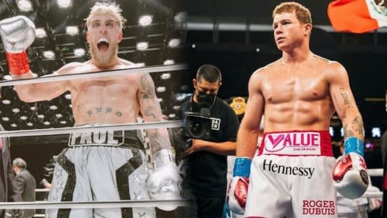 canelo vs jake paul