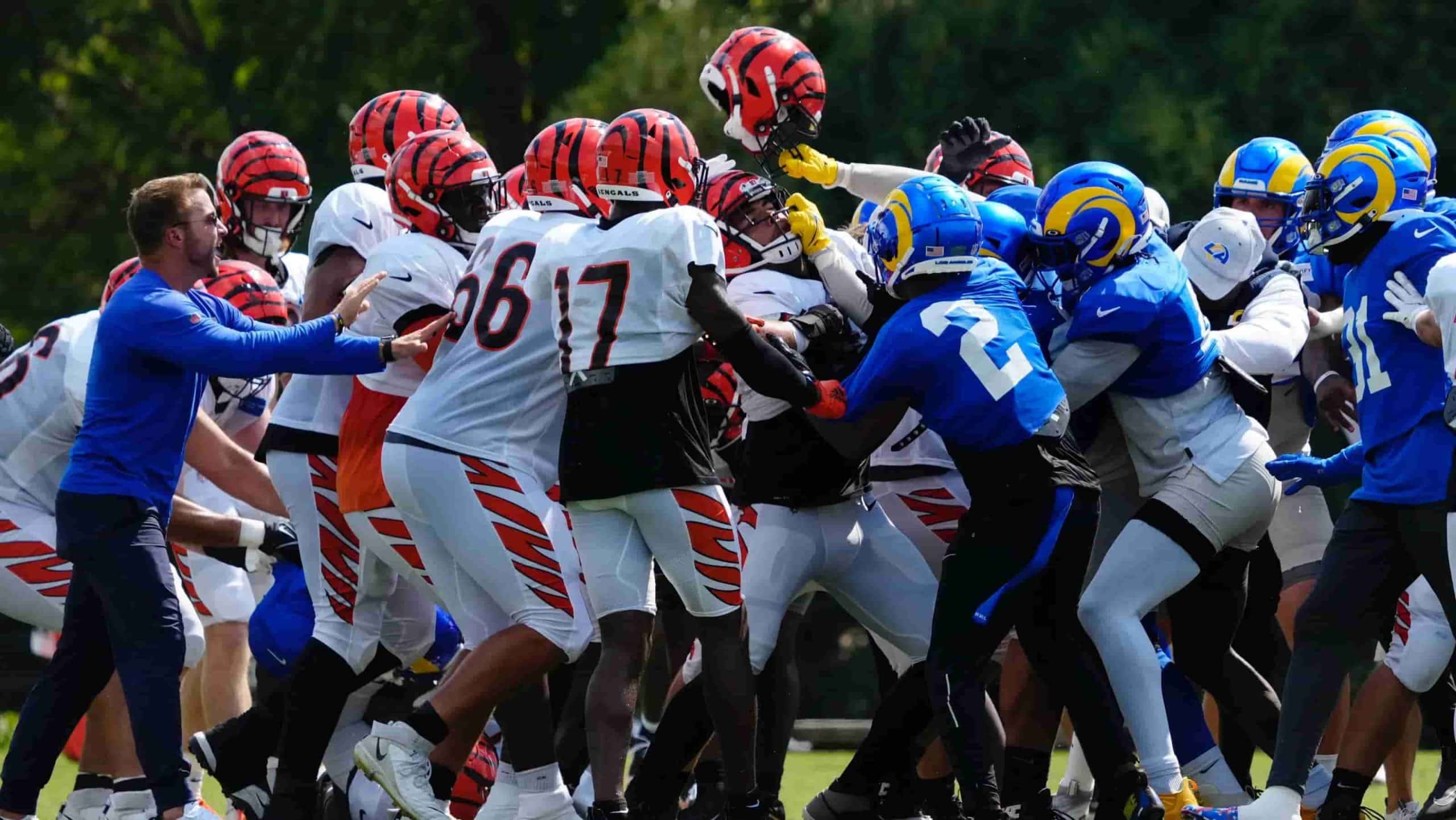 Rams