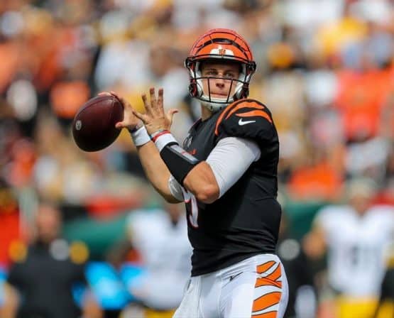 T.J. Houshmandzadeh: "Joe Burrow's a top-five quarterback"