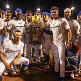 StLucieMets copy