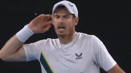 andy murray