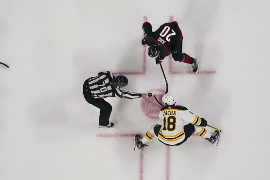 Canes Bruins (1)